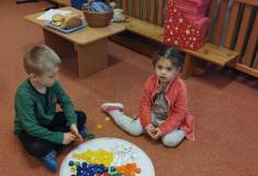 IMG_20240220_094214