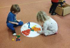 IMG_20240220_094219