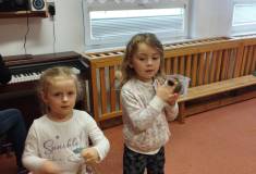 IMG_20250326_095220