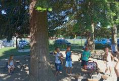 IMG_20260626_092531