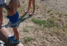 IMG_20260626_093331