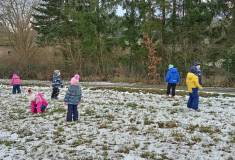 IMG_20250106_110134