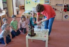 IMG_20250428_095248