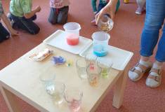 IMG_20250428_095326