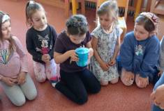 IMG_20250428_095414