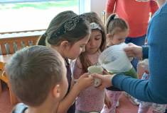 IMG_20250428_095809