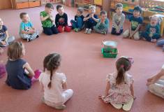 IMG_20250429_082529
