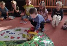 IMG_20260929_094821
