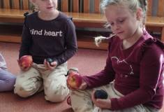 IMG_20260929_095413