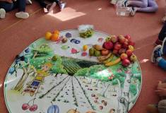 IMG_20260929_100233