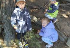 IMG_20260930_104919