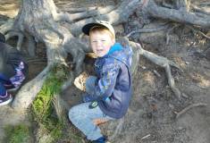 IMG_20260930_110354