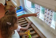 IMG_20261001_072610