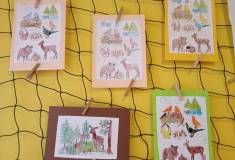 IMG_20221124_090554