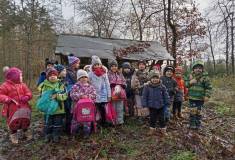 IMG_20221124_100330