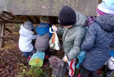 IMG_20221124_100447