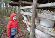 IMG_20221124_100531