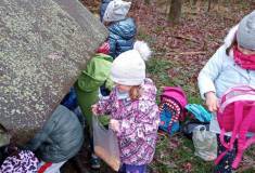 IMG_20221124_100642