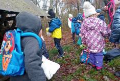 IMG_20221124_100824