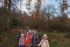 IMG_20221124_102038