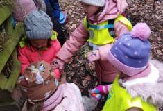 IMG_20230213_103921