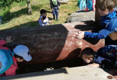 IMG_20220601_101554