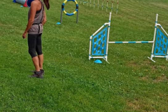 Ukázka agility