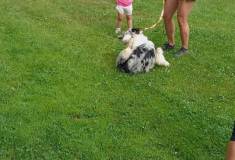 IMG_20260630_100004