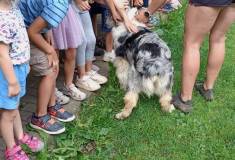 IMG_20260630_100441