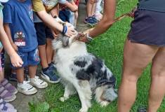 IMG_20260630_100447