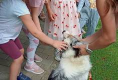 IMG_20260630_100511