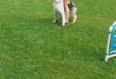 IMG_20260630_100643