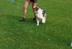 IMG_20260630_100655