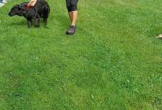 IMG_20260630_101131