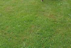 IMG_20260630_102249