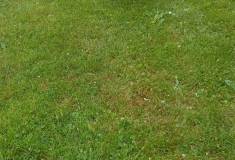IMG_20260630_102302
