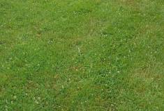 IMG_20260630_102325