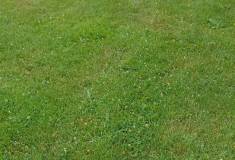 IMG_20260630_102331