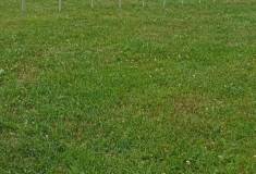IMG_20260630_102432