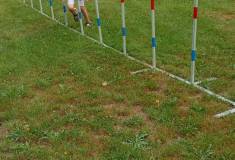 IMG_20260630_102843