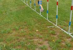 IMG_20260630_102941