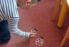 IMG_20251103_094508