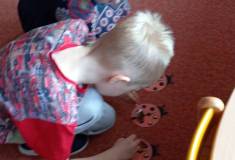 IMG_20251103_094522