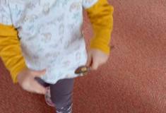 IMG_20251103_094609
