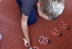 IMG_20251103_094612