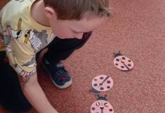 IMG_20251103_094639