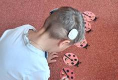 IMG_20251103_094646