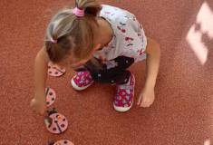 IMG_20251103_094658