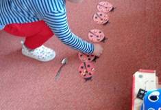 IMG_20251103_094733