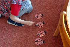IMG_20251103_094820
